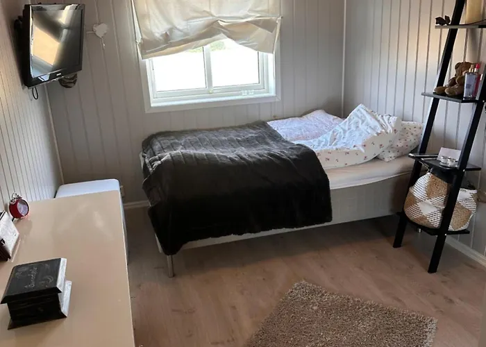 Enebolig Syd * トロンハイム